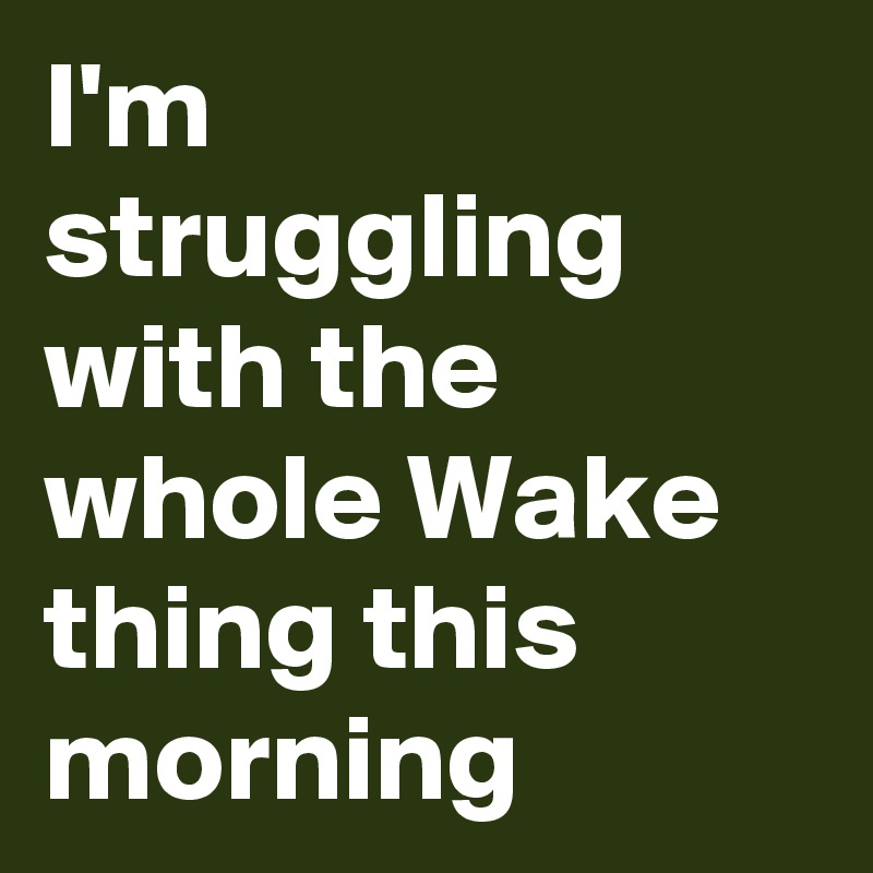 I'm struggling with the whole Wake thing this morning 