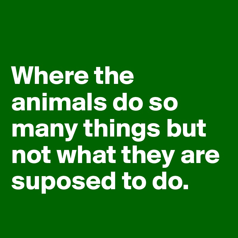 

Where the animals do so many things but not what they are suposed to do.
