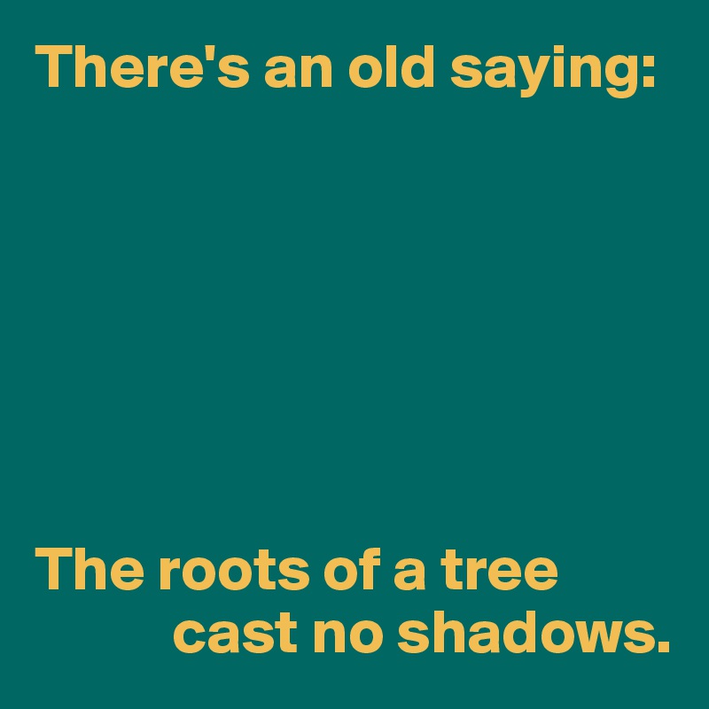 There's an old saying:







The roots of a tree 
           cast no shadows.