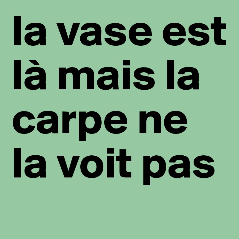 la vase est là mais la carpe ne la voit pas