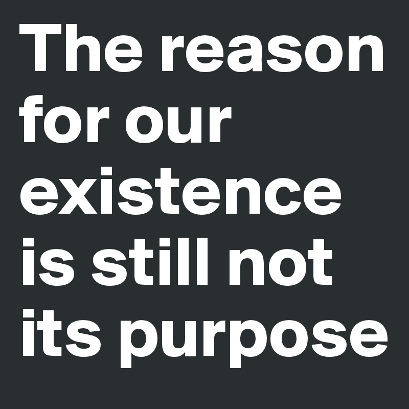 The reason for our existence is still not its purpose