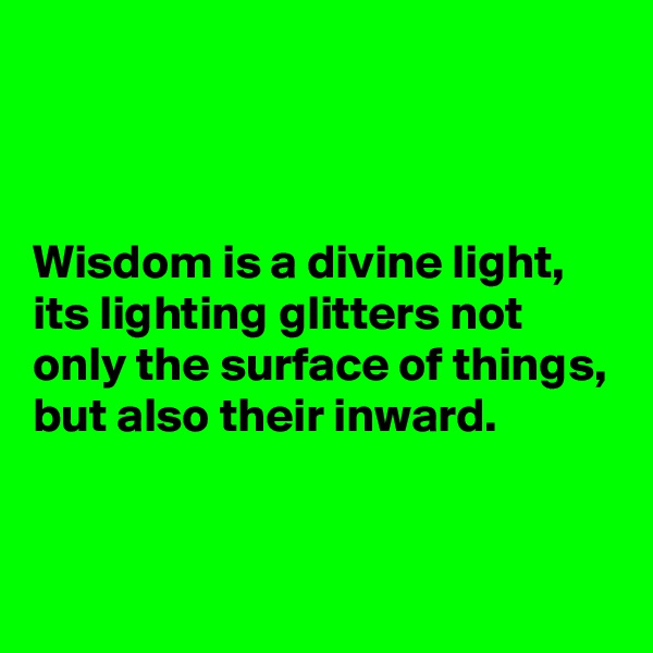 



Wisdom is a divine light, its lighting glitters not only the surface of things, but also their inward.


