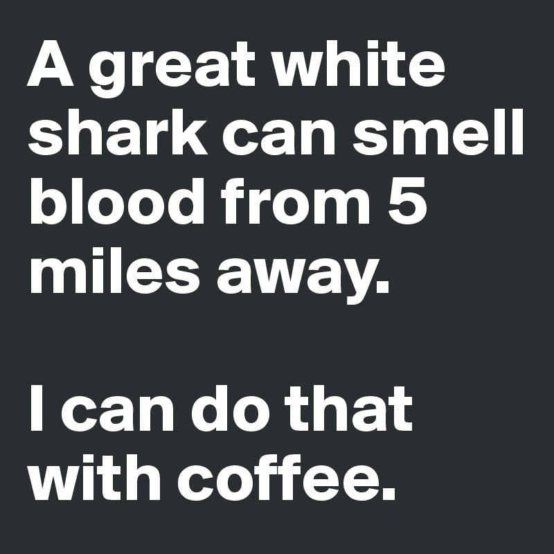 A great white shark can smell blood from 5 miles away.

I can do that with coffee.