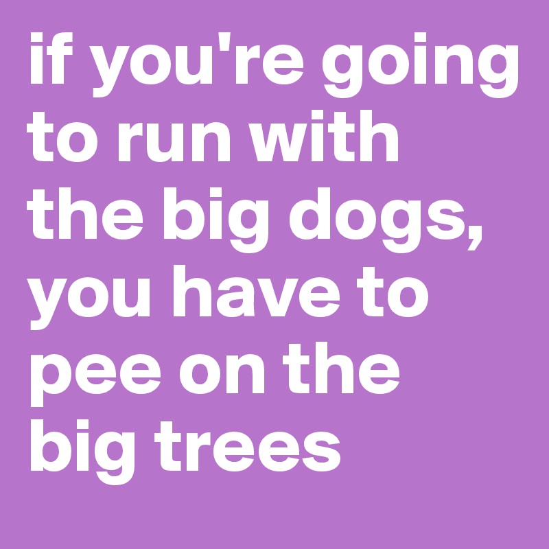 if you're going to run with the big dogs, you have to pee on the big trees