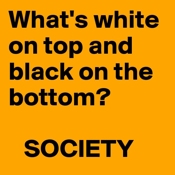 What's white on top and black on the bottom?

   SOCIETY