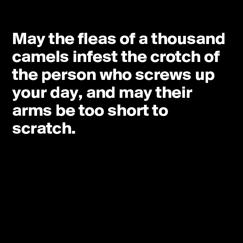 
May the fleas of a thousand camels infest the crotch of the person who screws up your day, and may their arms be too short to scratch.




