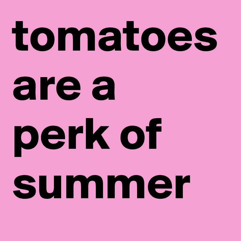 tomatoes are a perk of summer