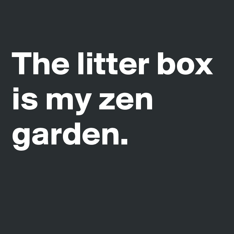 
The litter box is my zen garden.

