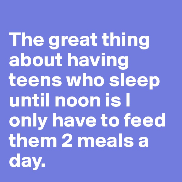 
The great thing about having teens who sleep until noon is I only have to feed them 2 meals a day.