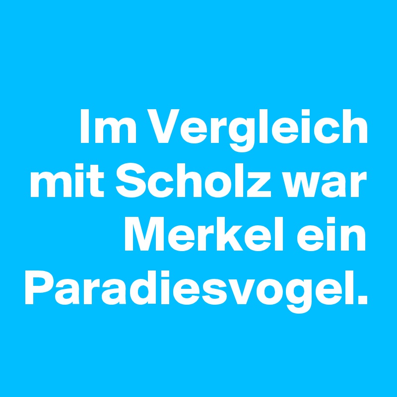 Im Vergleich mit Scholz war Merkel ein Paradiesvogel.