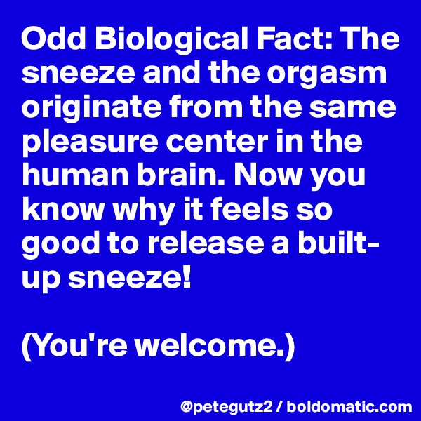 Odd Biological Fact: The sneeze and the orgasm originate from the same pleasure center in the human brain. Now you know why it feels so good to release a built-up sneeze! 

(You're welcome.)