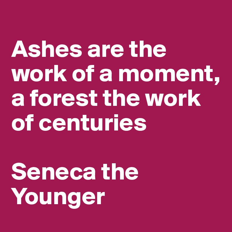 
Ashes are the work of a moment, a forest the work of centuries

Seneca the Younger