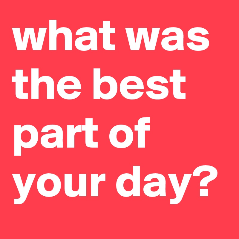 what-was-the-best-part-of-your-day-post-by-makellbird-on-boldomatic