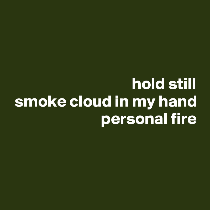 


hold still
smoke cloud in my hand
personal fire



