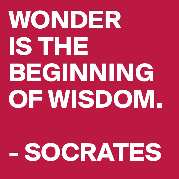 WONDER 
IS THE BEGINNING OF WISDOM.

- SOCRATES