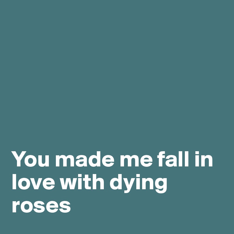 





You made me fall in love with dying roses