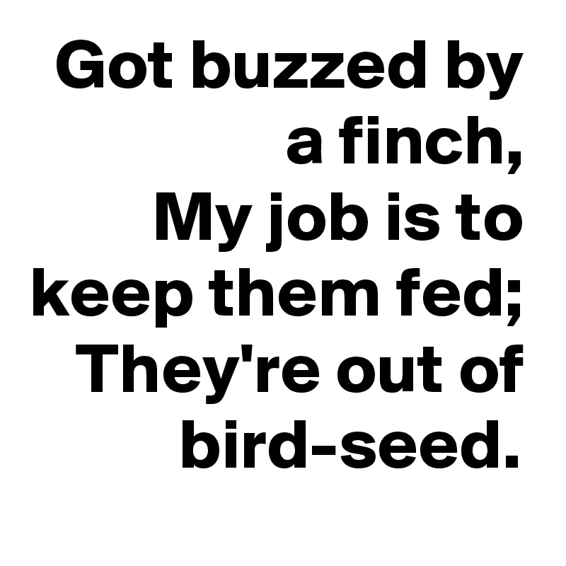 Got buzzed by a finch,
My job is to keep them fed;
They're out of bird-seed.