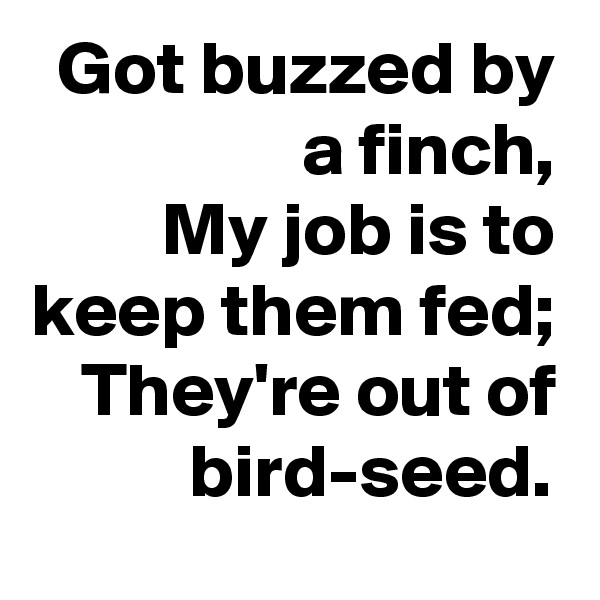 Got buzzed by a finch,
My job is to keep them fed;
They're out of bird-seed.