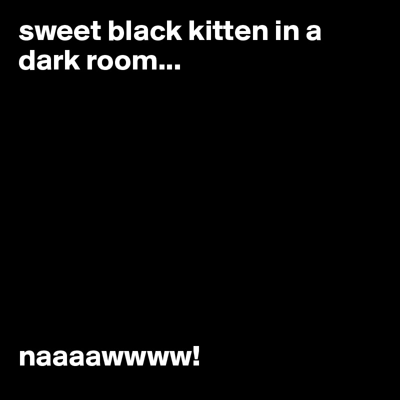 sweet black kitten in a dark room...









naaaawwww! 