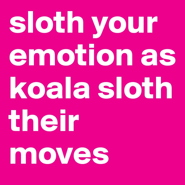 sloth your emotion as koala sloth their moves
