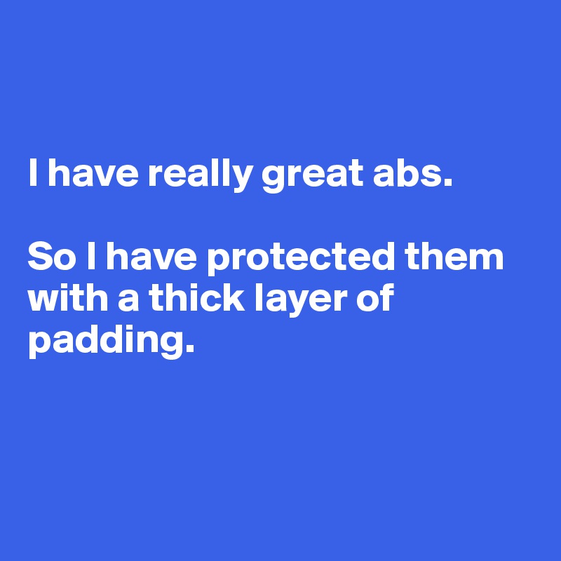 


I have really great abs. 

So I have protected them with a thick layer of padding. 



