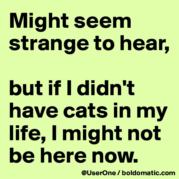 Might seem strange to hear,

but if I didn't have cats in my life, I might not be here now.