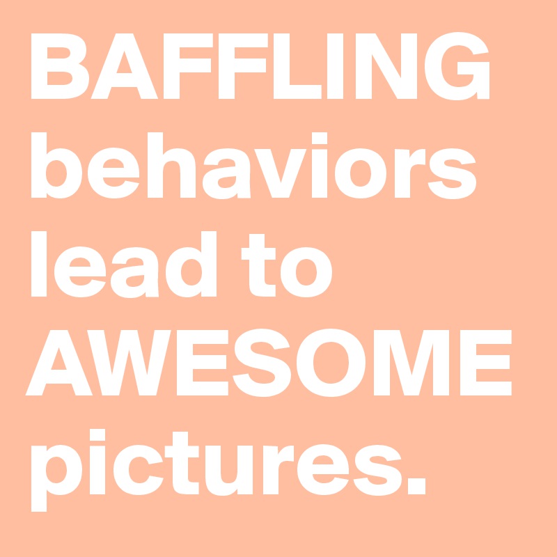 BAFFLINGbehaviors lead to AWESOME pictures.