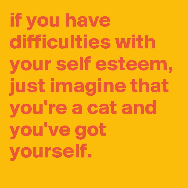 if you have difficulties with your self esteem, just imagine that you're a cat and you've got yourself.