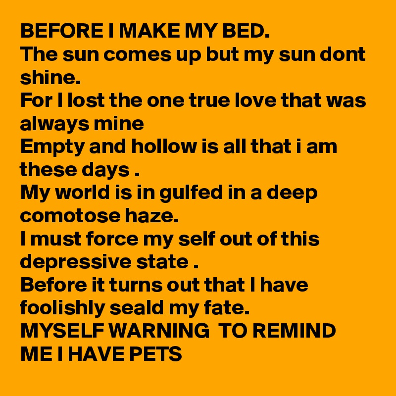 BEFORE I MAKE MY BED.
The sun comes up but my sun dont shine.
For I lost the one true love that was always mine 
Empty and hollow is all that i am these days .
My world is in gulfed in a deep  comotose haze.
I must force my self out of this depressive state .
Before it turns out that I have foolishly seald my fate.
MYSELF WARNING  TO REMIND ME I HAVE PETS 