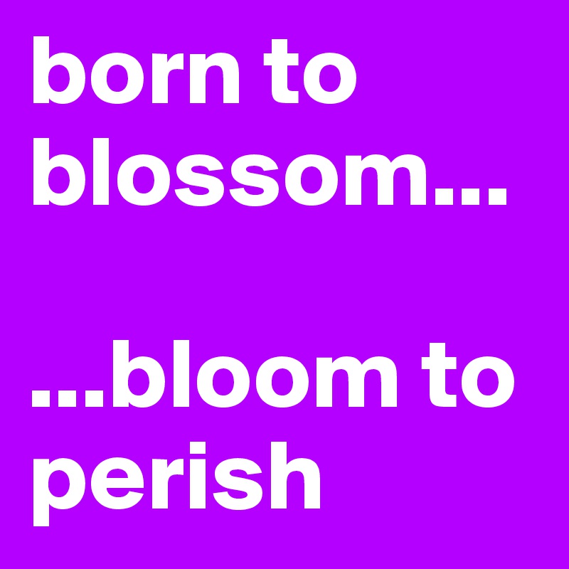 born to blossom...

...bloom to perish