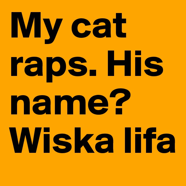 My cat raps. His name? Wiska lifa