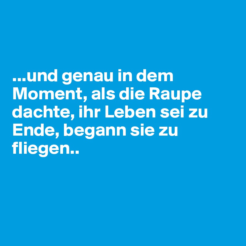 


...und genau in dem Moment, als die Raupe dachte, ihr Leben sei zu Ende, begann sie zu fliegen..



