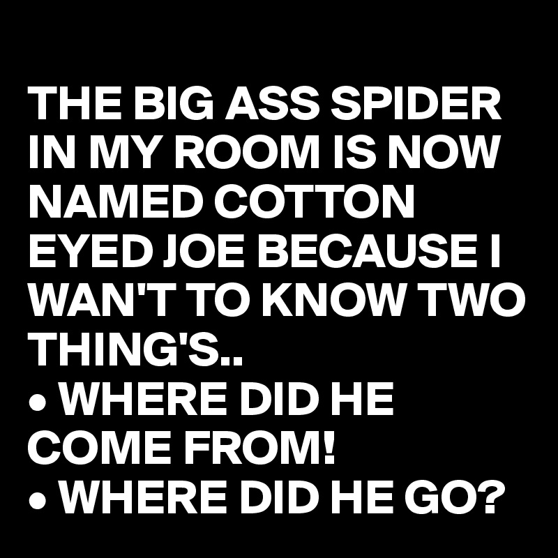 The Big Ass Spider In My Room Is Now Named Cotton Eyed Joe