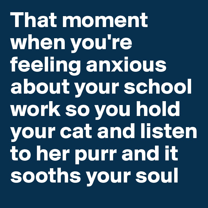 That moment when you're feeling anxious about your school work so you hold your cat and listen to her purr and it sooths your soul