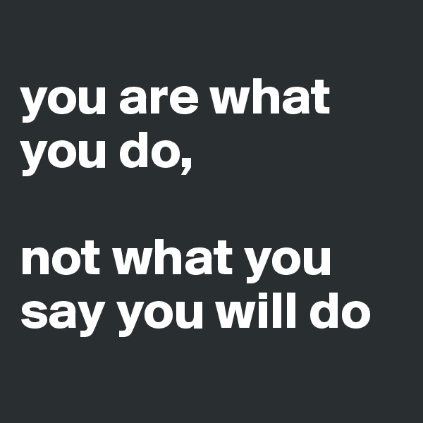 
you are what you do,

not what you say you will do
