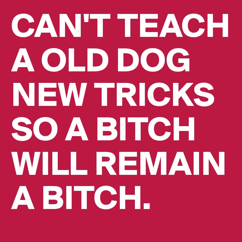 CAN'T TEACH A OLD DOG NEW TRICKS SO A BITCH WILL REMAIN A BITCH. 