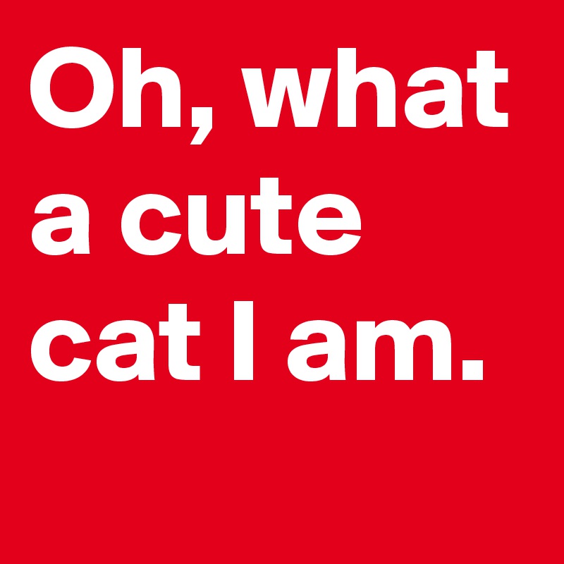 Oh, what a cute cat I am.