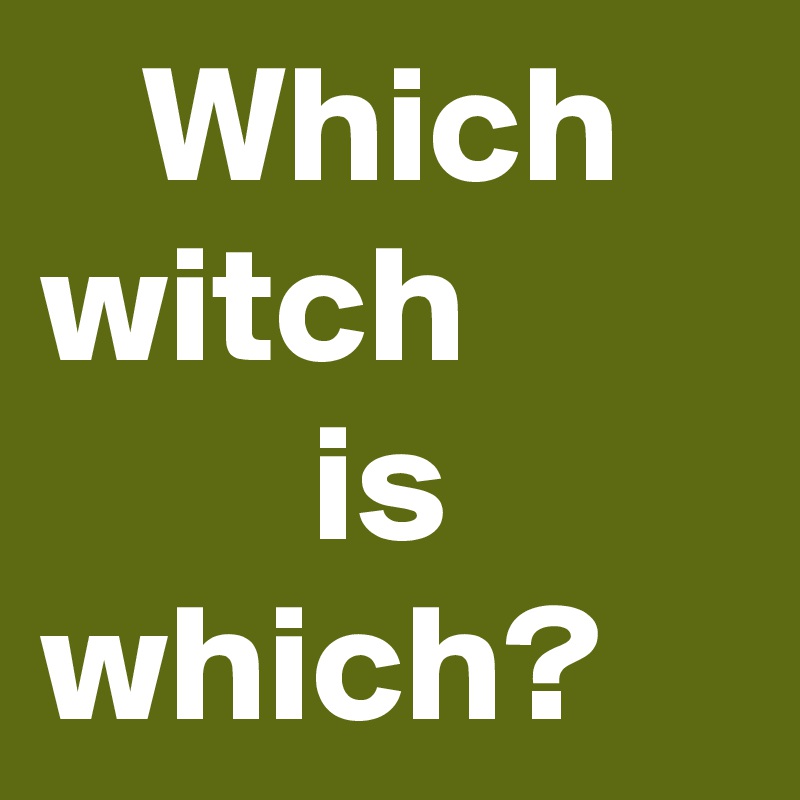   Which witch
        is which?