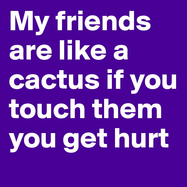 My friends are like a cactus if you touch them you get hurt