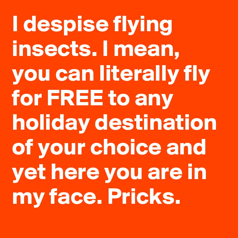I despise flying insects. I mean, you can literally fly for FREE to any holiday destination of your choice and yet here you are in my face. Pricks.