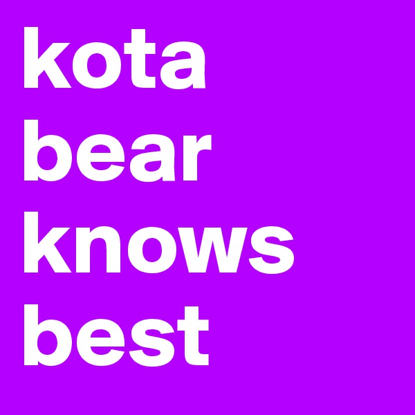 kota bear knows best