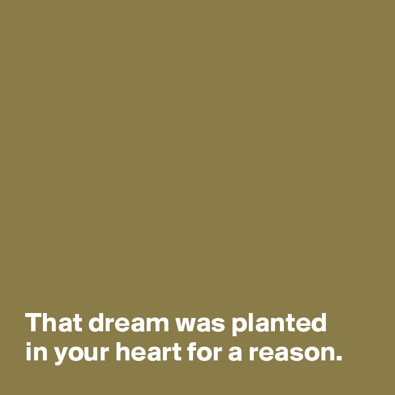 









 That dream was planted
 in your heart for a reason.