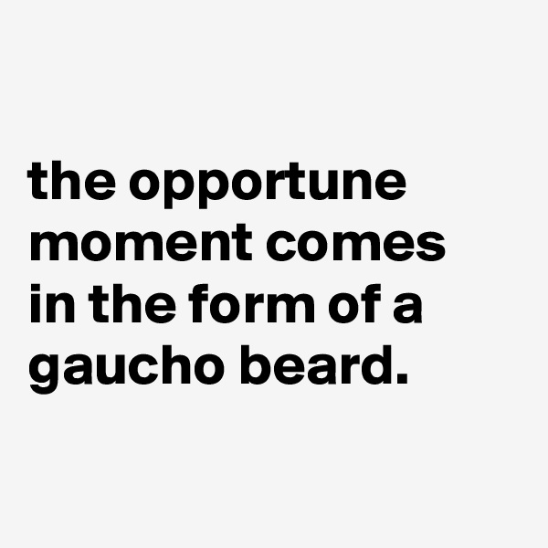

the opportune moment comes
in the form of a gaucho beard.

