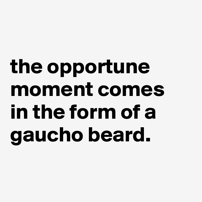 

the opportune moment comes
in the form of a gaucho beard.

