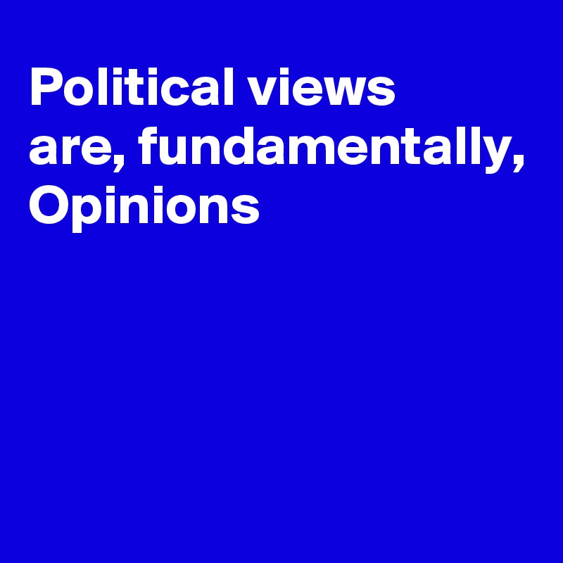 Political views 
are, fundamentally, Opinions




