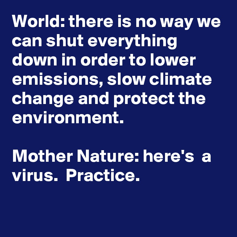 World: there is no way we can shut everything down in order to lower emissions, slow climate change and protect the environment. 

Mother Nature: here's  a virus.  Practice. 

