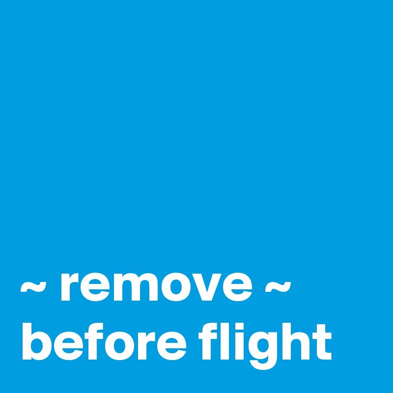 


  
~ remove ~
before flight