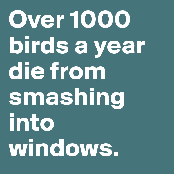 Over 1000 birds a year die from smashing into windows.