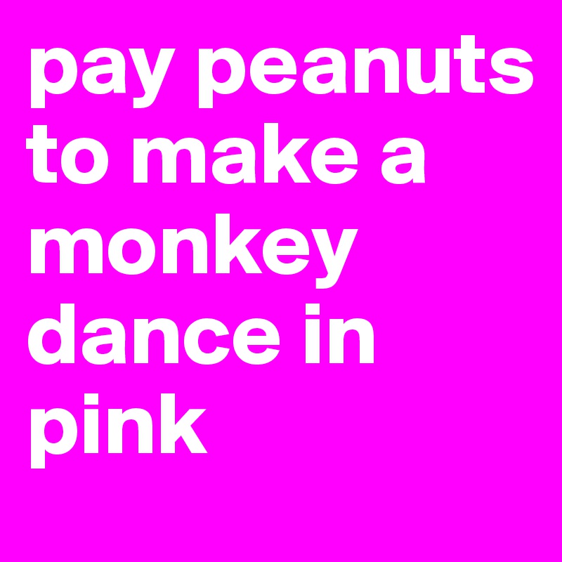 pay peanuts to make a monkey dance in pink
