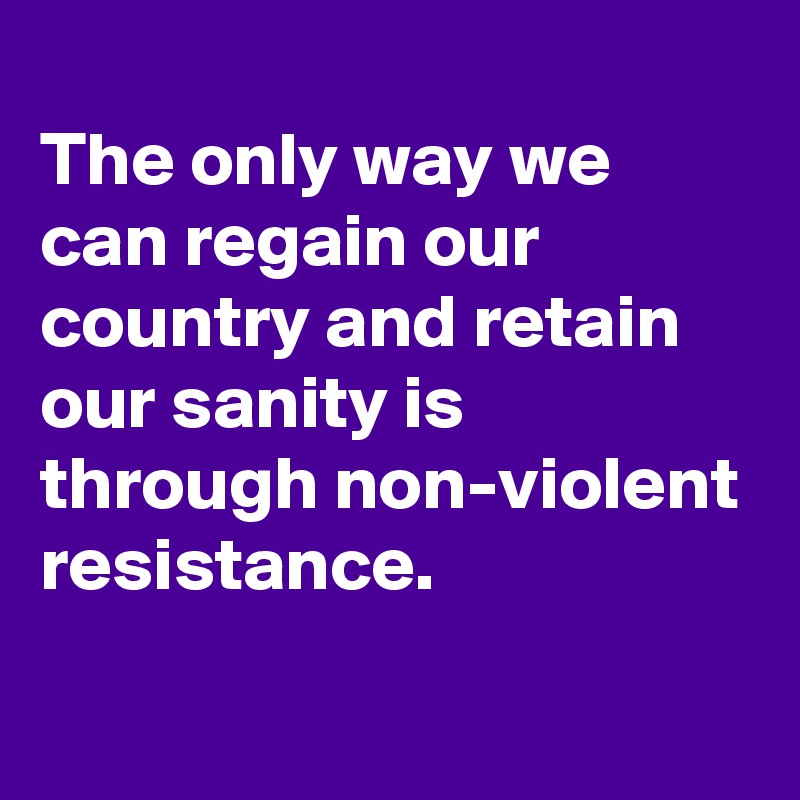 
The only way we can regain our country and retain our sanity is through non-violent resistance.
